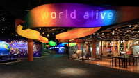 Architectural Interiors